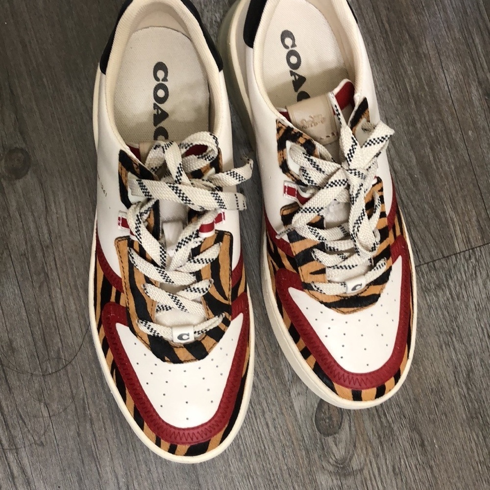 Couch Shoes